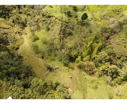 Finca En Vender En Guatapé