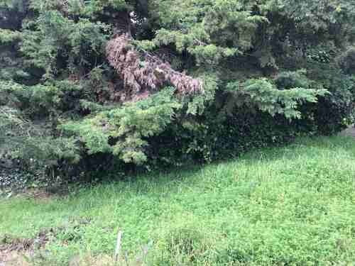 Imagen 6 de 8 de Terreno En Venta, Cuajimalpa De Morelos, Ciudad De México