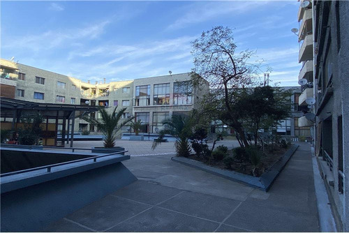 Imagen 16 de 26 de Departamento A Cuadra De Plaza Brasil