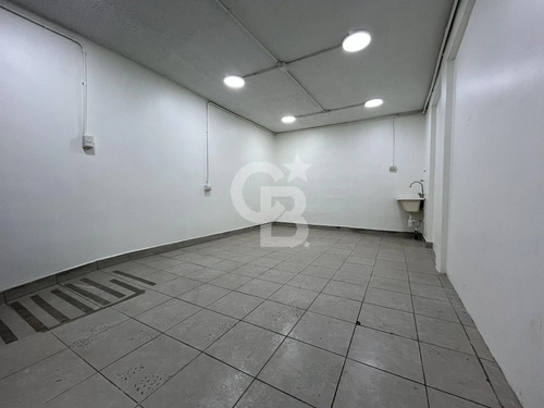 Local Comercial, Iluminación, Ubicación Y Conectividad