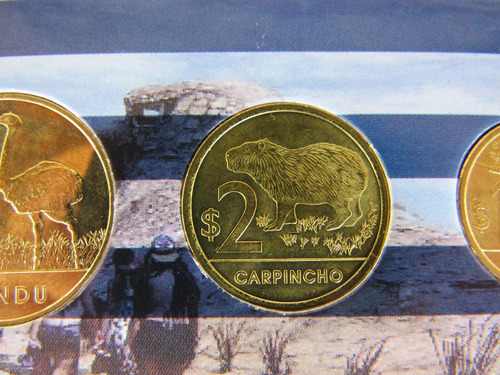 Moeda Antiga Na Cartela Uruguai Peso 2011 Fauna Soberbas