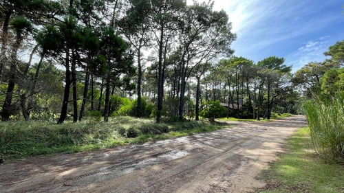 Imagen 22 de 22 de Lote Venta Zona Norte Pinamar - Lote 9