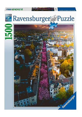 Puzzle Blühendes Bonn - 1500 Piezas