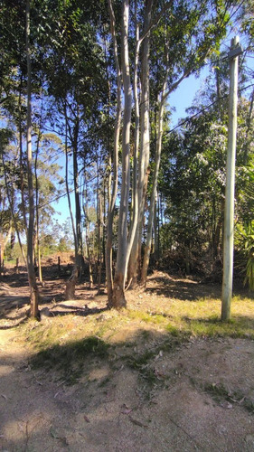 Imagen 5 de 24 de Terreno En Venta En Balneario Buenos Aires