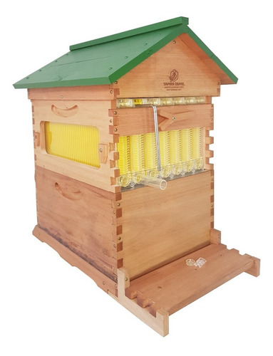 Colmeia Automática Flow Auto Frame Honey Hive