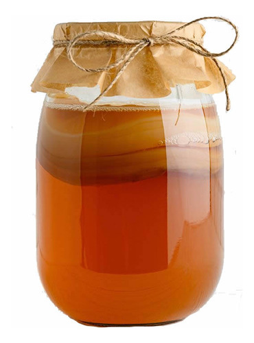 Kombucha Bebida Probiótica Kit Scoby + Líquido + Instrucción