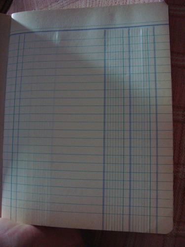 Antiguo Cuaderno Diario De 40 Hojas 2 Columnas Impecable