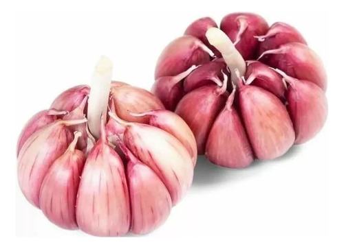 Caixa De Alho Roxo Nacional N°7 Graúdo Inteiro (10kg)