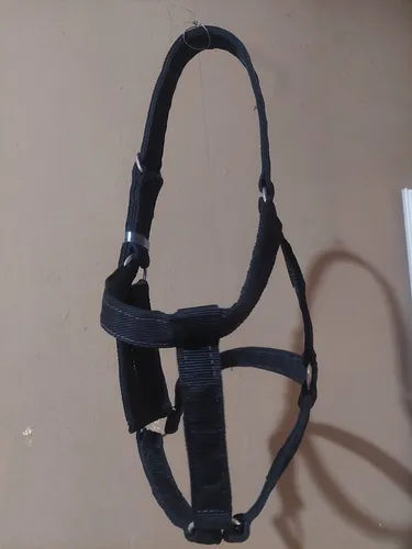 Cabresto Equino