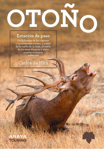 Libro Otoã¿o Estacion De Paso - Hita Moreno, Carlos De