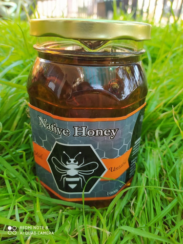Miel Untable Líquida 1 Kilo Native Honey Multifloral