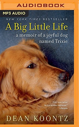 A Big Little Life A Memoir Of A Joyful Dog Named Trixie