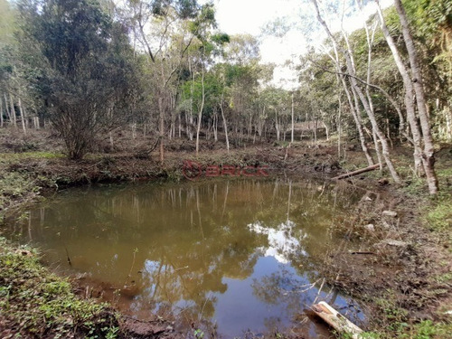 Imagem 12 de 30 de Fazenda Com 500 Mil M² De Área Total, Xotó/vieira. Teresópolis- Rj. - Fa00025 - 69449681