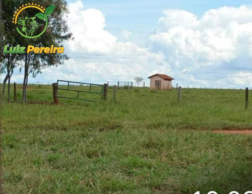 Imagem 2 de 15 de Fazenda À Venda Em Anaurilândia - Ms - (excelente Para Lavoura) - 1696