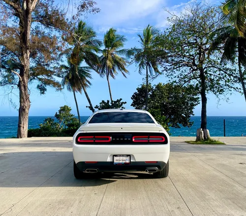 Dodge Challenger 2019 Sxt
