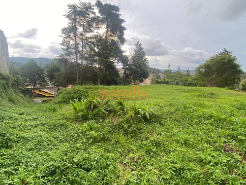Imagem 6 de 30 de Terreno Em Condomínio À Venda, Condomínio Parque Delfim Verde, Itapecerica Da Serra/sp. - 6176