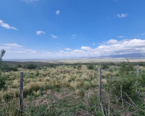 Terreno En Venta La Carrera - San José - Tupungato - Mza