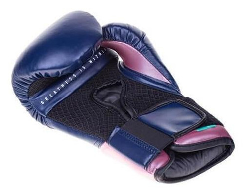 Luvas Treino Pro Style Elite V2 Everlast Azul / Rosa 12 Oz