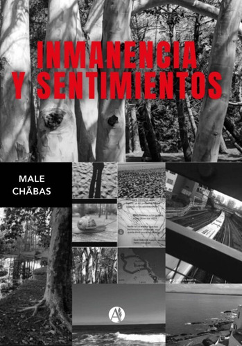 Inmanencia Y Sentimientos - Male Chäbas