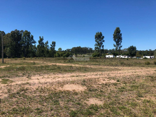 Venta Terreno Manga Camino El Cordero 36980m2 A Mts. Camino Pedro De Mendoza E Instrucciones