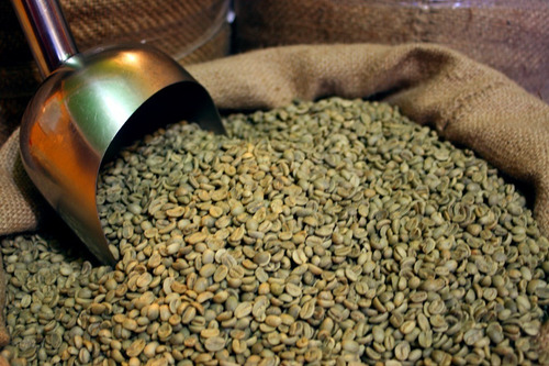 Café De Chiapas 100% Altura Formula Obscuro Intenso Francés