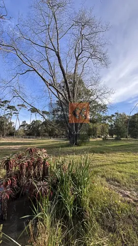 Terreno En El Mejor Barrio Privado Para Vivir En Armonía Con La Naturaleza