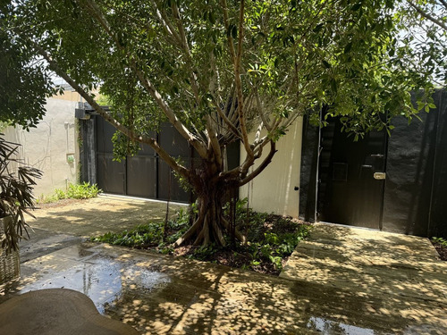 Casa En Renta En San Damian, Ideal Para Oficinas O Notarias