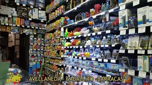 Prodibio Biodigest Cepa De Bacterias Duce Marino 30 Ampollas