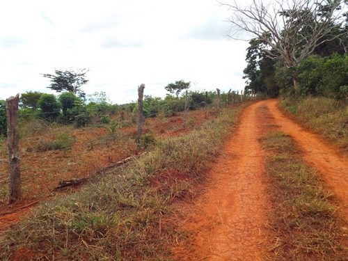 Oportunidade Terreno - 2148