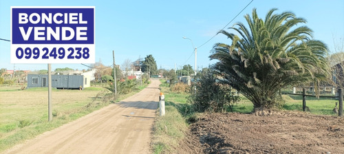 Amplio Terreno En Excelente Ubicación