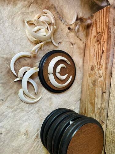 Tabla Para Trofeos De Taxidermia Jabali