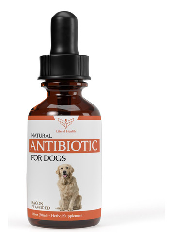 Antibioticos Naturales Para Perros | Antibioticos Para Perro