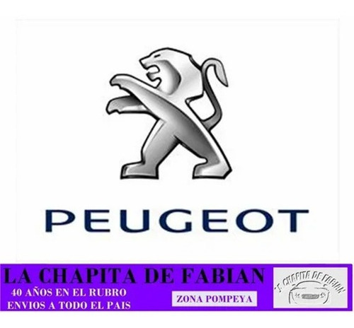 Juego X2 Peugeot 207 Guardabarro Delantero C/giro 08/16