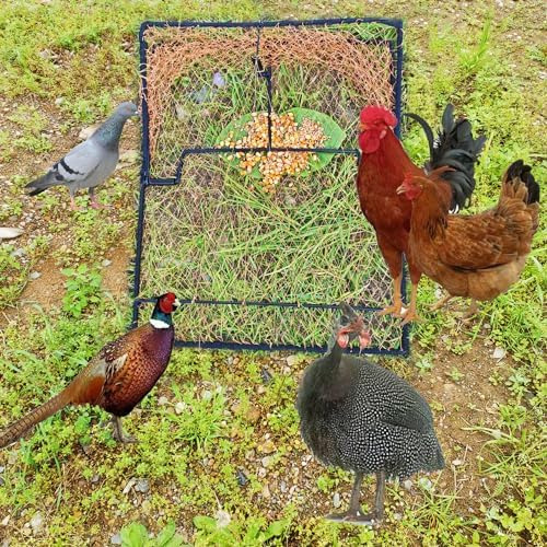Trampa Para Pájaros, Paloma, Gorrión, Codorniz, Pollo, Contr