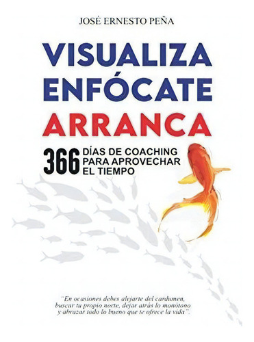 Visualiza, Enfocate, Arranca Vea - Peña, Jose..., De Peña, José Erne. Editorial Independently Published En Español