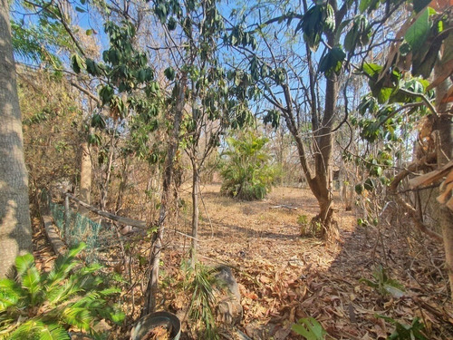Imagen 17 de 30 de Terreno En Venta En Miacatlán