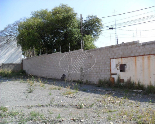 Imagem 4 de 6 de Terreno À Venda Em Cambuí - Te007507