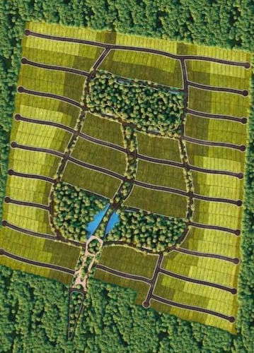 Imagen 4 de 10 de Terreno - Pueblo Sisal