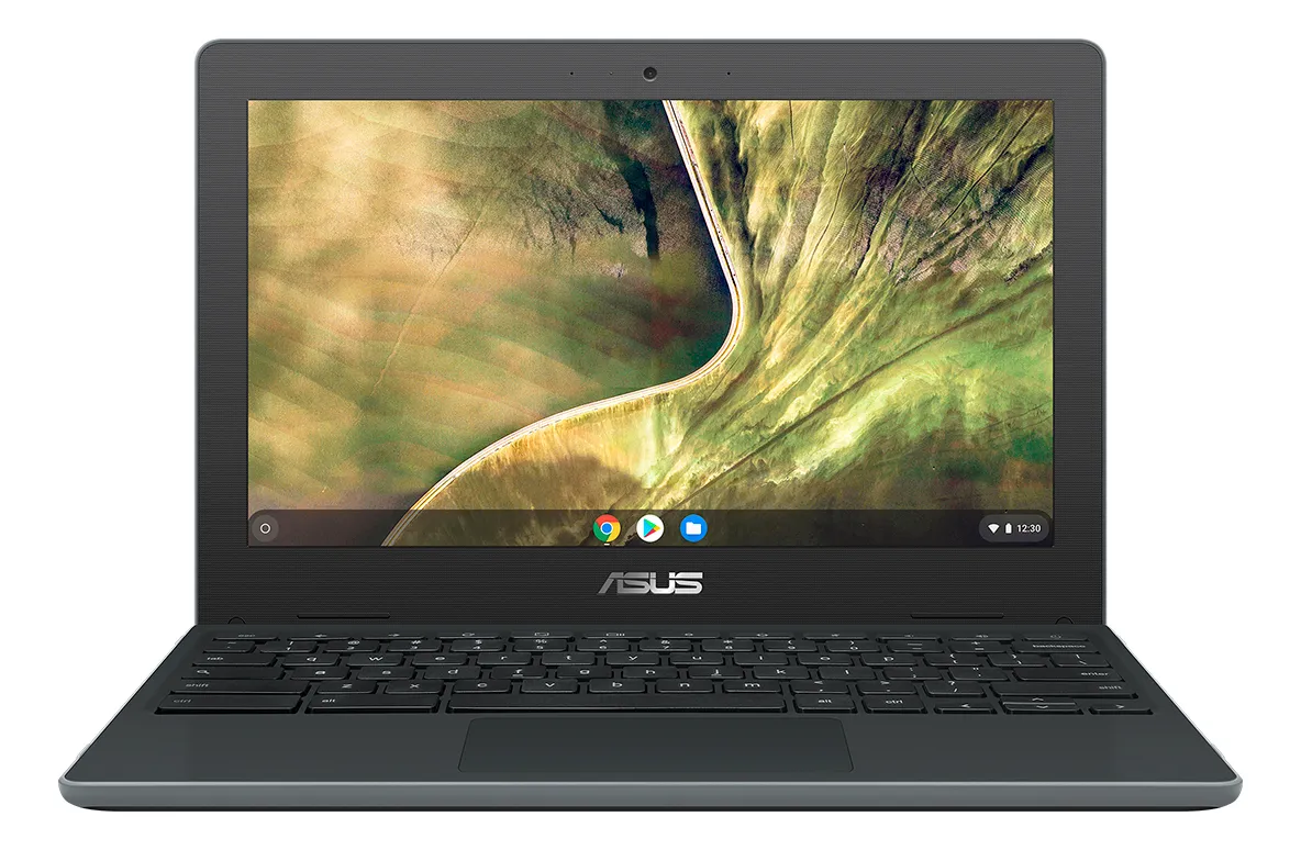 Asus C204M 90NX02A1-M06230