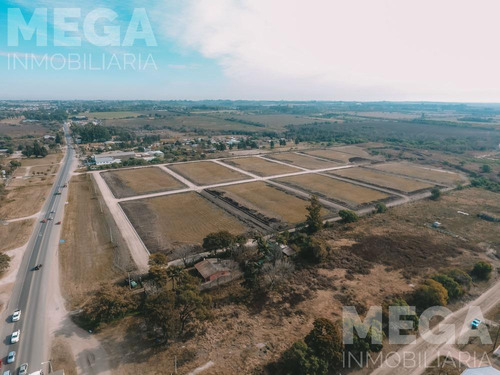 Terreno En Colonia Avellaneda