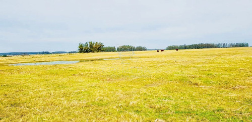 Imagen 3 de 13 de Campo De 20 Has Muy Cerca Del Faro Jose Ignacio - Consulte !!!!!! - Jose Ignacio