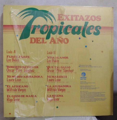 Lp Exitazos Tropicales Del Año Vinyl Los Bukis Laura Leon (Usado)