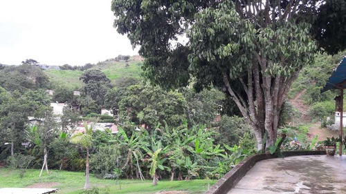Imagen 4 de 18 de (yia173) Vendo Hermosa Finca En Canoabo , Montalban