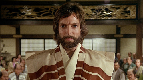 Imagen 2 de 10 de Shogun 1980 Miniserie (audio Latino)