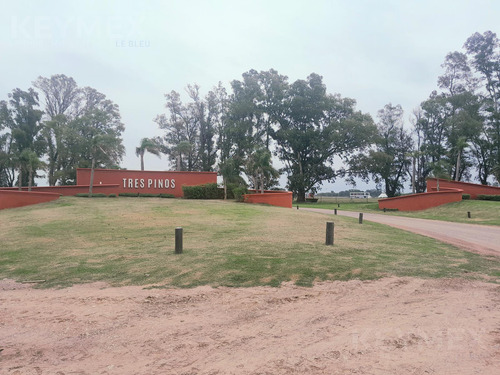 Terreno En Tres Pinos Barrio Polo