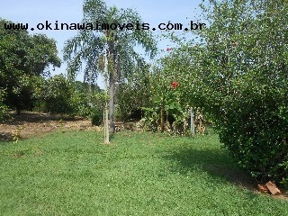 Imagem 29 de 30 de Chacara - Ch00012 - 2800882