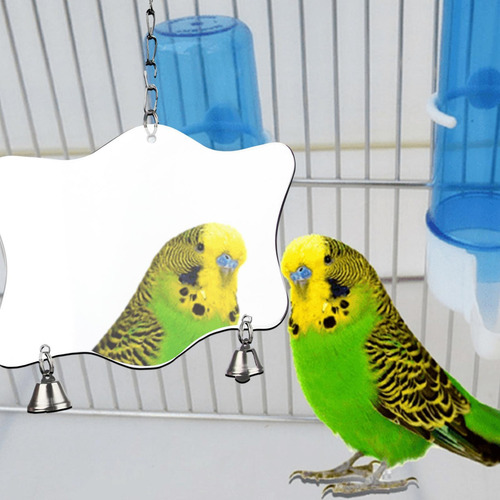 Espejo De Jaula De Pájaros Espejo Cacatúa Grande Con Cascabe