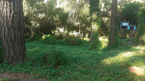 Imagen 3 de 4 de Lote En Zona Residencial De Mar Azul C/ Forestación .