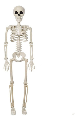 ( Decoración De Esqueleto De Halloween, Diseño De Esqueleto