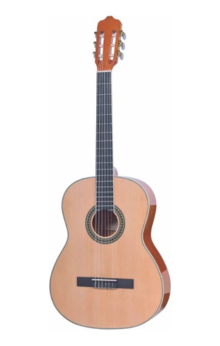 Guitarra Clásica Ts-cg 31-39 Tayste